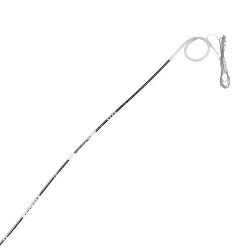 URETERAL