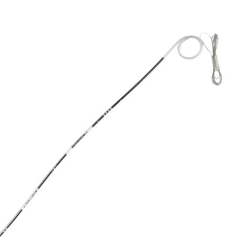 URETERAL